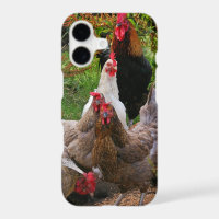 Funny Farmyard Chickens & Rooster iPhone Case