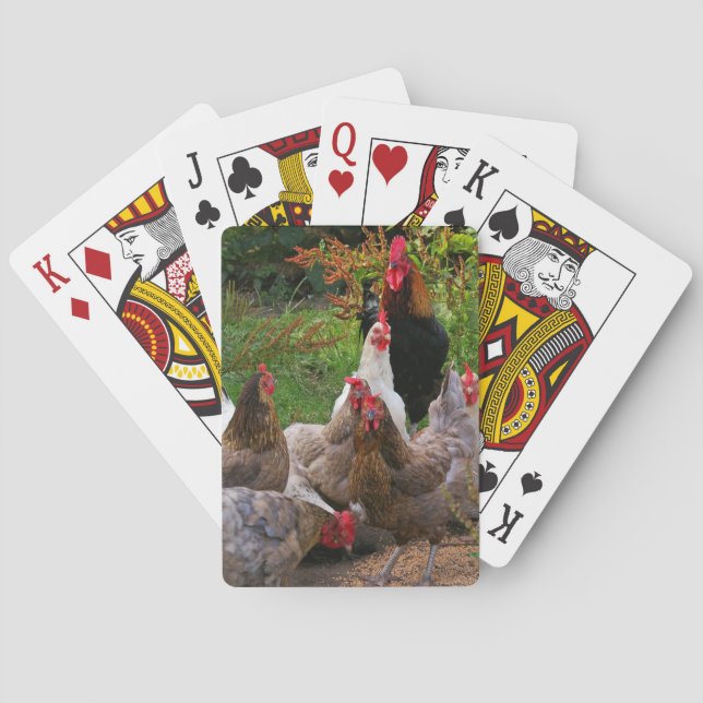 Funny Farmyard Chickens & Rooster Playing Cards (Back)