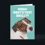 Funny Fart-Smelling Dog For Old Fart's Birthday Ca Card<br><div class="desc">Cute Heinz57 dog whipping his head around to see where "that smell" is coming from. Open the card and find out...  Oh! It's the "OLD FART" who is holding the card! A cute/funny card for any guy who is now an old fart. No respect for the elderly. :P</div>