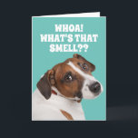 Funny Fart-Smelling Dog For Old Fart's Birthday Ca Card<br><div class="desc">Cute Heinz57 dog whipping his head around to see where "that smell" is coming from. Open the card and find out...  Oh! It's the "OLD FART" who is holding the card! A cute/funny card for any guy who is now an old fart. No respect for the elderly. :P</div>