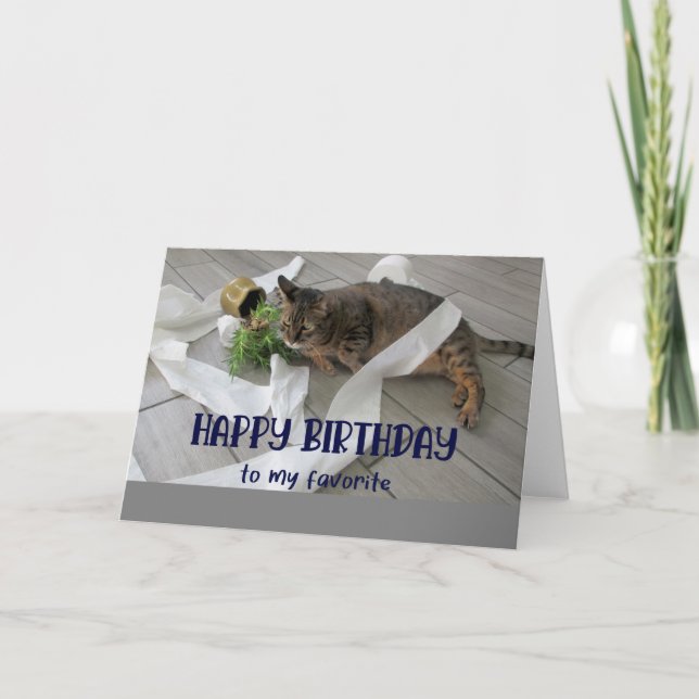 Funny Fat Cat Birthday Greeting Card  (Front)