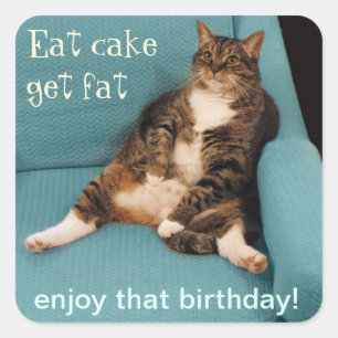 Funny Fat Tabby Cat Eat Cake Get Fat Square Sticker