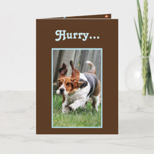 Funny "Father's Day" Card w/Cute Basset Hound