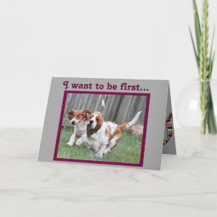 Funny "Father's Day" Card w/Cute Running Bassets