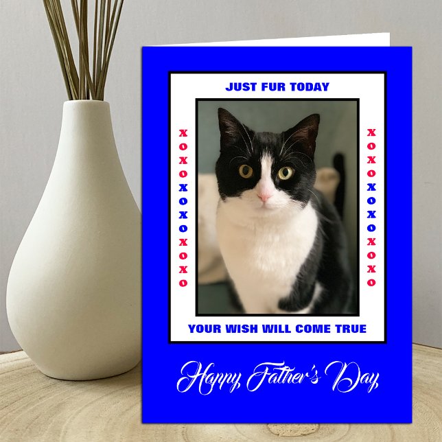 Funny Father's Day from the Cat(s) Photo Card (Creator Uploaded)