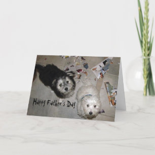 funny Father's Day Havanese Puppies Card