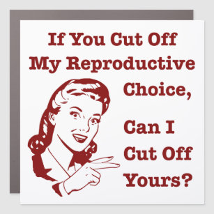 Funny Feminist Abortion Rights Saying - If You Cut Car Magnet
