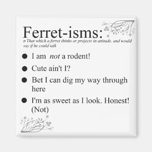Funny Ferret Gifts Magnet