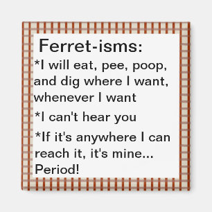 Funny Ferret-ism Quotes Magnet