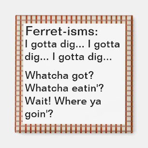 Funny Ferret-ism Quotes Magnet