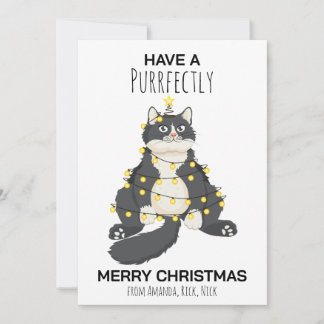 Funny Festive Christmas Cat Minimal Animal Lover Holiday Card