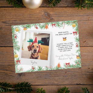 Funny Festive Pet Photo Dog Christmas Holiday Card