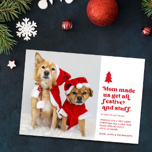 Funny Festive Plural Pets Photo Christmas   White Holiday Card