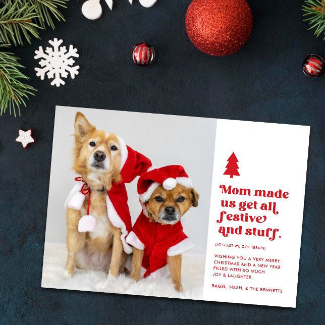 Funny Festive Plural Pets Photo Christmas | White Holiday Card (Creator Uploaded)