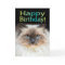 Funny Fiesty Cat Happy Birthday You're in My Chair