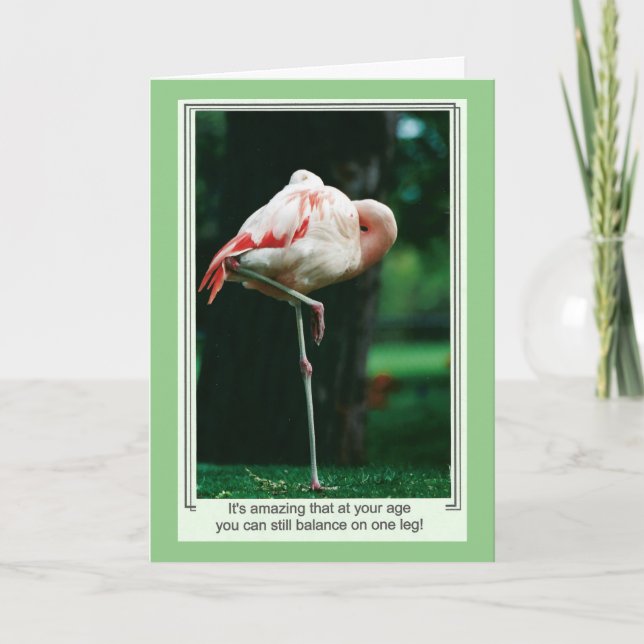 Funny Flamingo Birthday Card (Front)