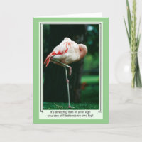 Funny Flamingo Birthday Card