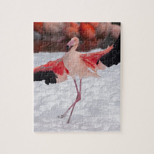Funny Flamingo dancing the flamenco Jigsaw Puzzle (Vertical)