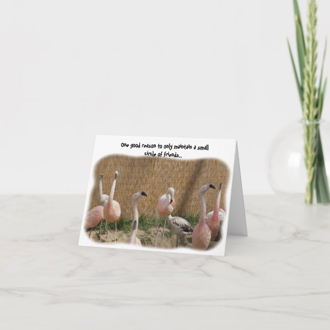 Funny Flamingo Friend Greeting Card (Front)