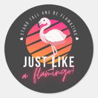 Funny Flamingo T-Shirts