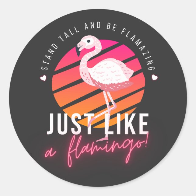 Funny Flamingo T-Shirts Classic Round Sticker (Front)