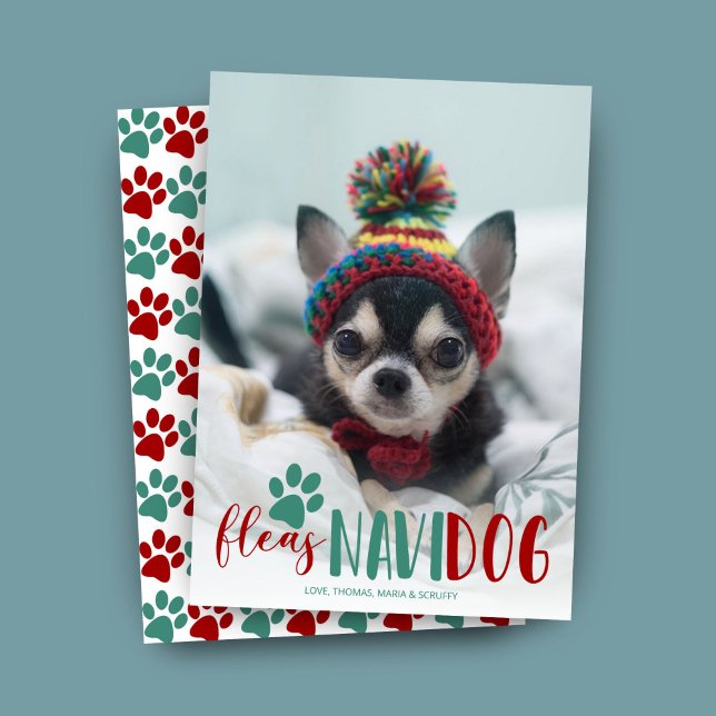 Funny 'Fleas Navidog' Dog Photo Christmas Holiday Card (Creator Uploaded)