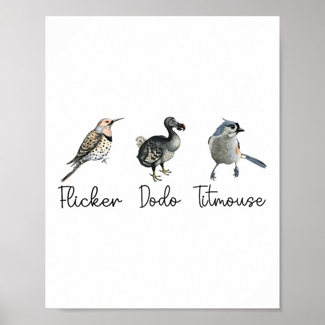 Funny Flicker Dodo Titmouse  Poster (Front)