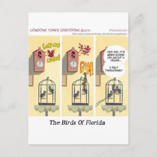Funny Florida Stand Your Ground Birds Postcard