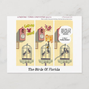 Funny Florida Stand Your Ground Birds Postcard