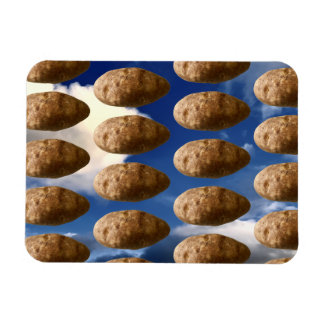 Funny Flying Potatoes Space Potato Photo Magnet