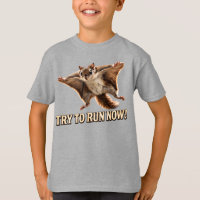 Funny Flying Squirrel Try To Run Now Meme