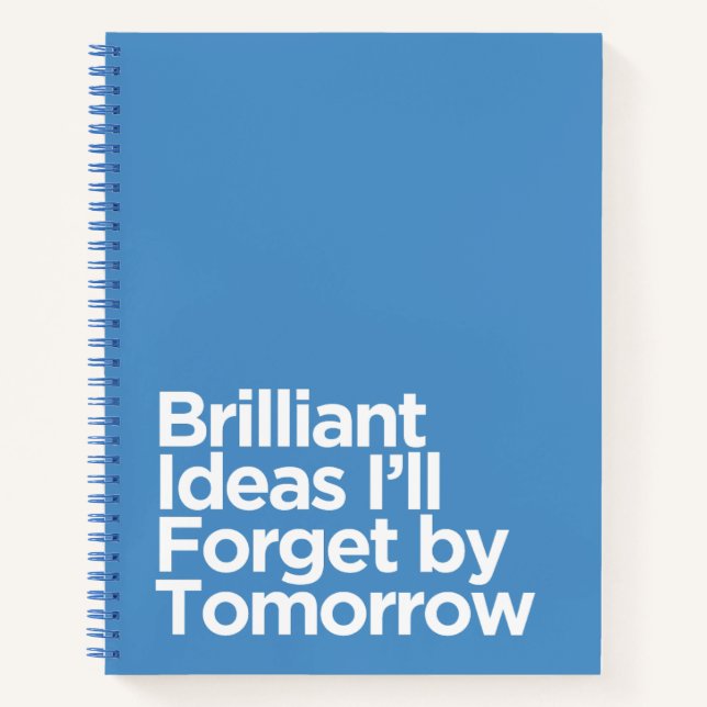 Funny for Forgetful People with Brilliant ideas Notebook (Front)