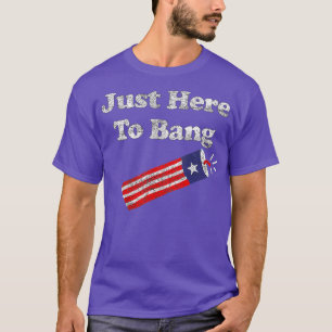 Funny Fourth of July 4th of July Im Just Here To T-Shirt