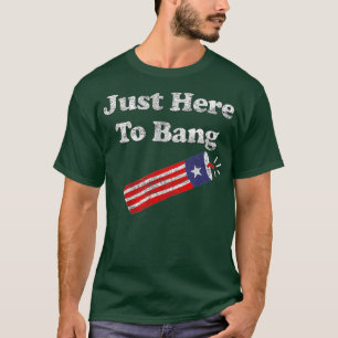 Funny Fourth of July 4th of July Im Just Here To T-Shirt