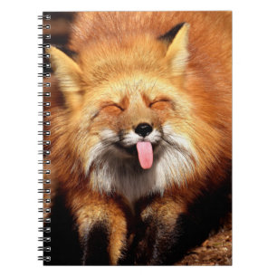 Funny Fox Sticking It's Tongue Out Notebook
