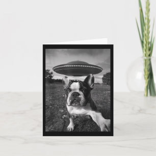 Funny French Bulldog Selfie Card