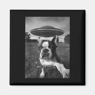 Funny French Bulldog Selfie Magnet