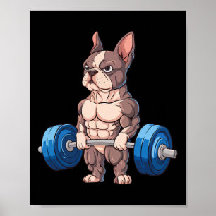 Funny French Bulldog Weightlifting Bodybuilding Gy Poster
