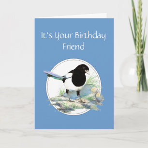 Funny, Friend Birthday, Magpie Watercolor Bird Card