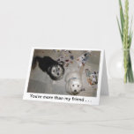 Funny Friend Puppy Birthday Card<br><div class="desc">"Charlie & Boo" rescued Havanese Puppies -p hoto by Patricia Merewether</div>