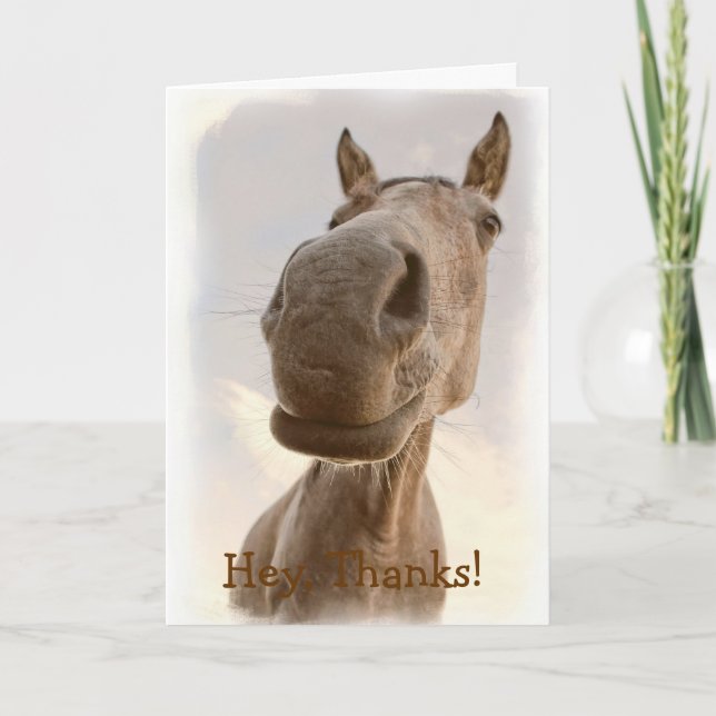 Funny Friendly Horse Thank You Card (Front)
