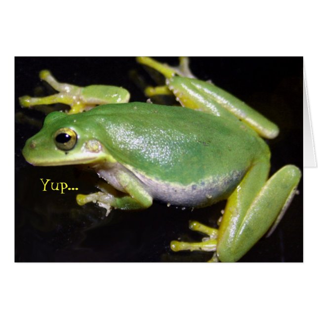 Funny Frog Card (Front Horizontal)