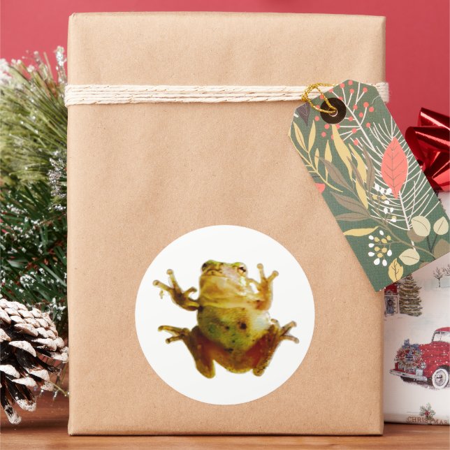 Funny Frog Froggie Toad 4Fred Classic Round Sticker (Holiday)