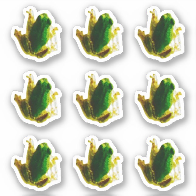 Funny Frog Toad Green Custom-Cut Vinyl Sticker (Front)