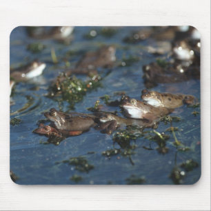 Funny frogs mouse pad