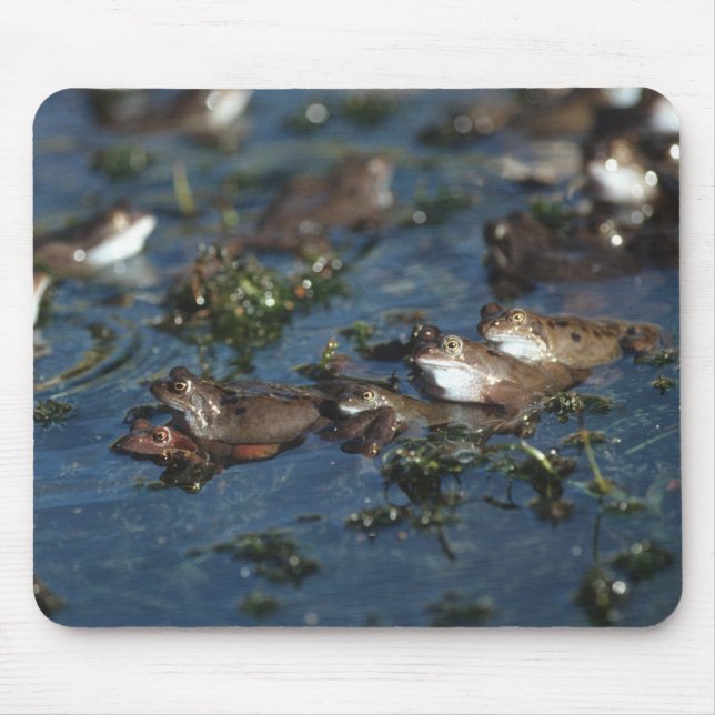 Funny frogs mouse pad (Front)