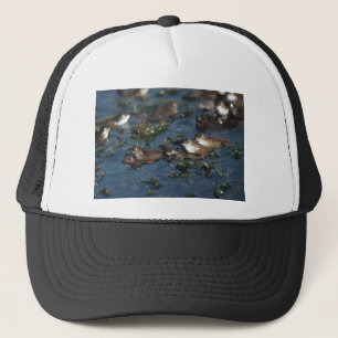 Funny frogs trucker hat