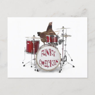 Funny Funky chicken Postcard
