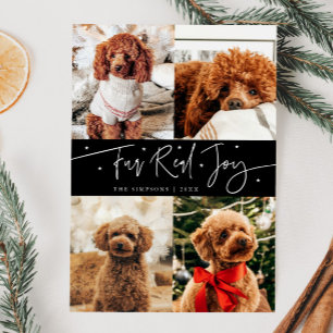 Funny Fur Real Joy Dog Photo Black  Christmas  Holiday Card