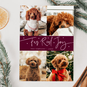 Funny Fur Real Joy Dog Photo Cranberry Christmas Holiday Card